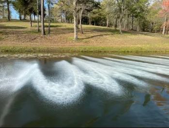Clacis treatment, liming a pond