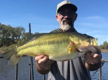 Large Mouth Bass, Electrofishing, Lake Survey
