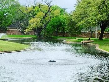 Fountain maintenance and installation